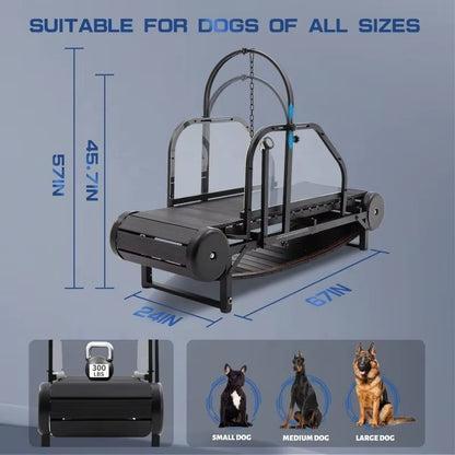 Revolutionary Pet Treadmill - Keep Your Dog Fit and Happy!