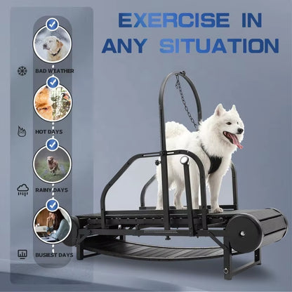 Revolutionary Pet Treadmill - Keep Your Dog Fit and Happy!