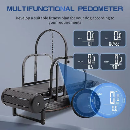 Revolutionary Pet Treadmill - Keep Your Dog Fit and Happy!