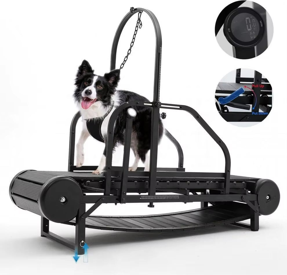 Revolutionary Pet Treadmill - Keep Your Dog Fit and Happy!