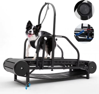 Revolutionary Pet Treadmill - Keep Your Dog Fit and Happy!
