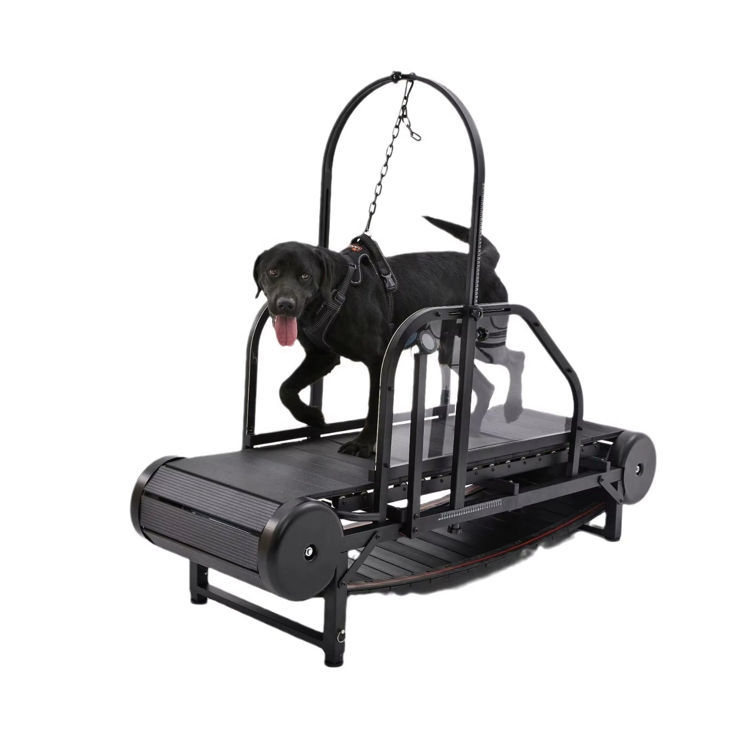 Revolutionary Pet Treadmill - Keep Your Dog Fit and Happy!
