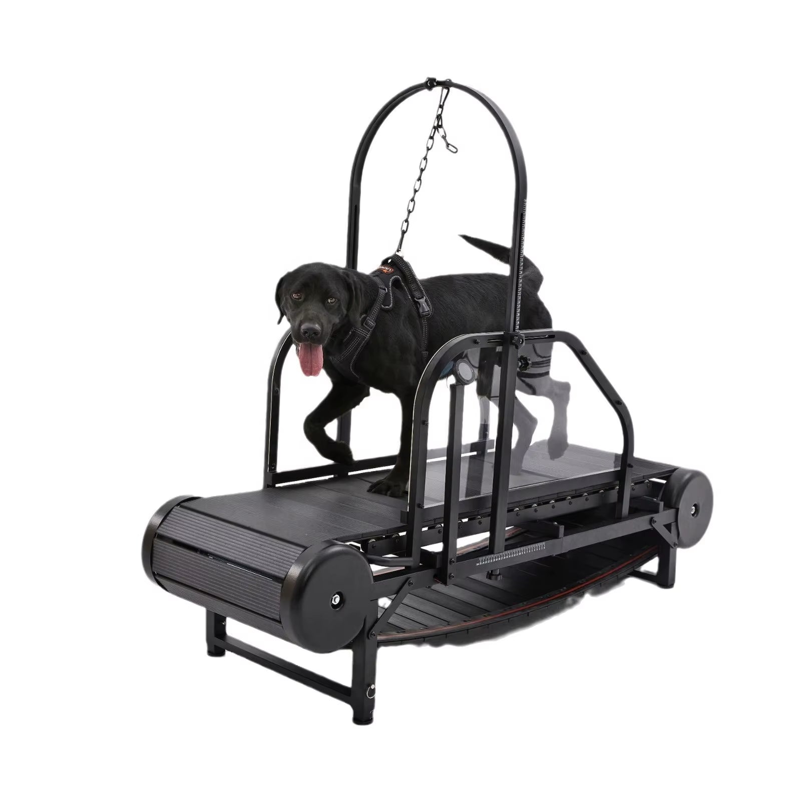 Revolutionary Pet Treadmill - Keep Your Dog Fit and Happy!