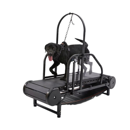Revolutionary Pet Treadmill - Keep Your Dog Fit and Happy!